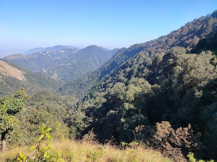 Benog Wildlife Sanctuary